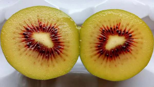 四川蒲江猕猴桃